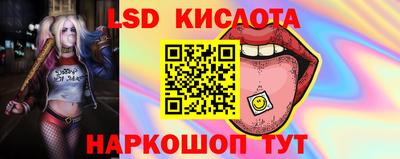 хмурый Гай