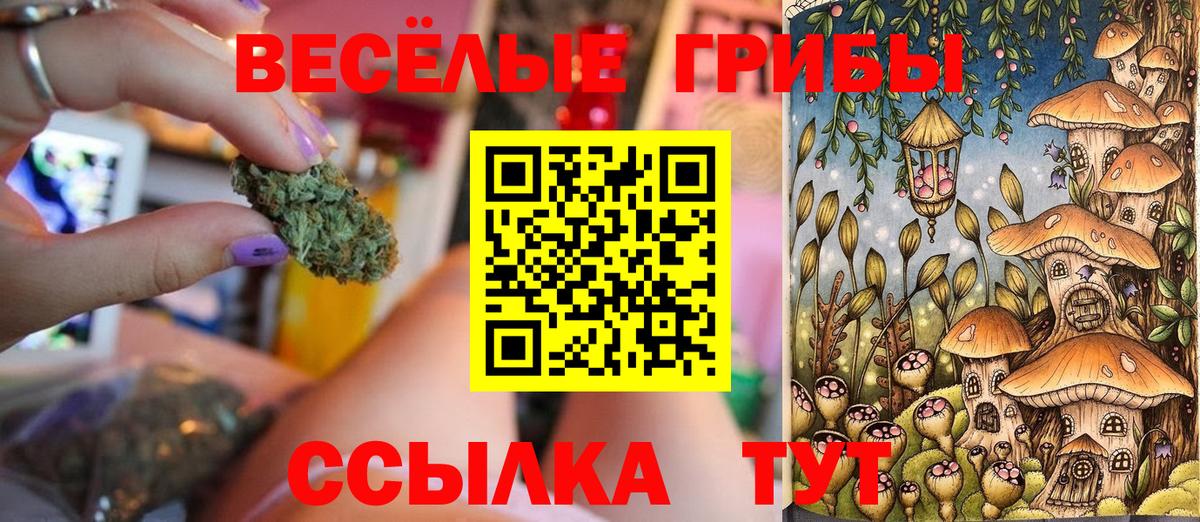 Меф  Грязи  Cocaine  Канабис  Вход с VPN  МЕФ   Гашиш 